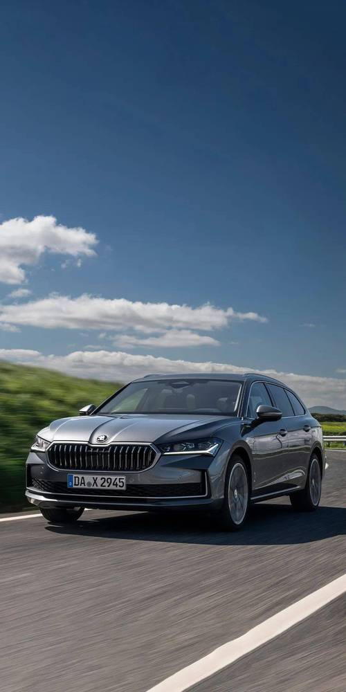 斯柯达图片,斯柯达图片大全大图