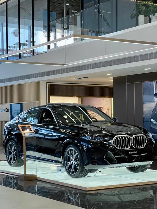 开宝马x6是属于哪类人/开宝马x6m的人