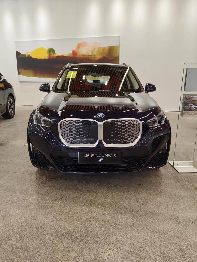 宝马ix纯电动车/宝马ix纯电动车价格及图片