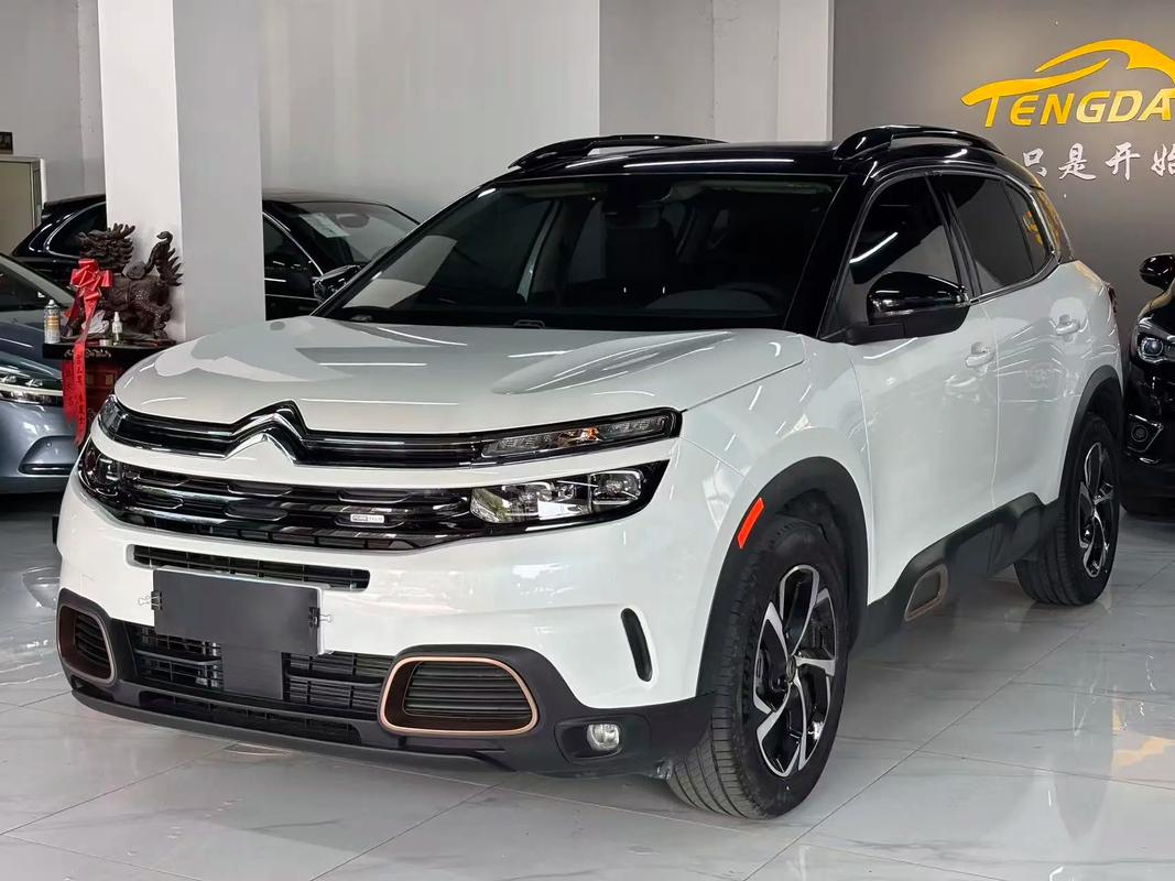 【雪铁龙天逸2023款,雪铁龙天逸2023款前后刹车一样吗】