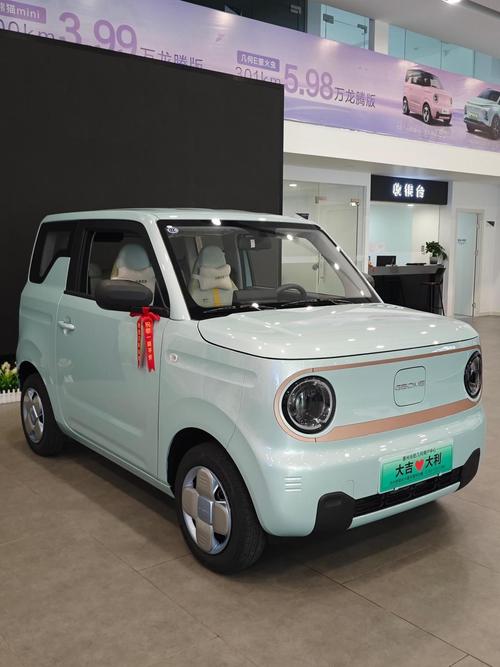 吉利大熊猫和小熊猫区别(吉利大熊猫怎么样)