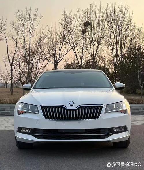 大众克拉斯图片/大众克劳斯图片