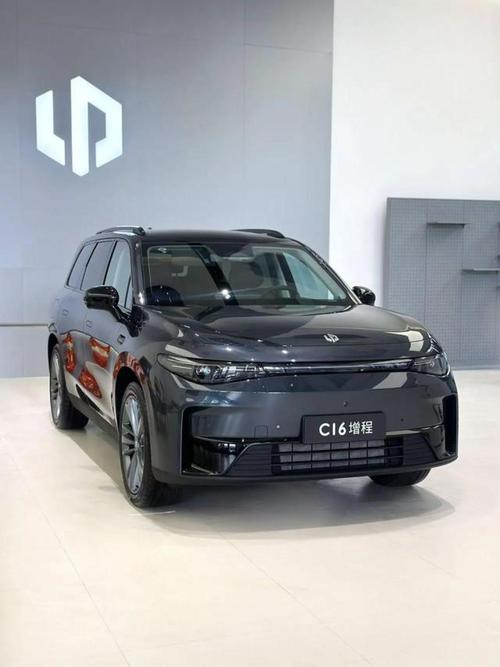 六人座家庭用车 六人座家庭用车零跑C11