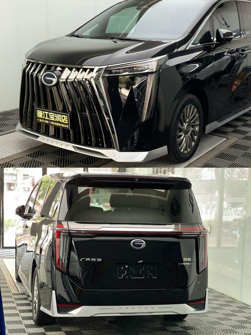 广汽传祺gm8改装价格(传祺gm8最豪华的改装案例)